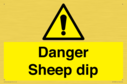 danger-sheep-dip~